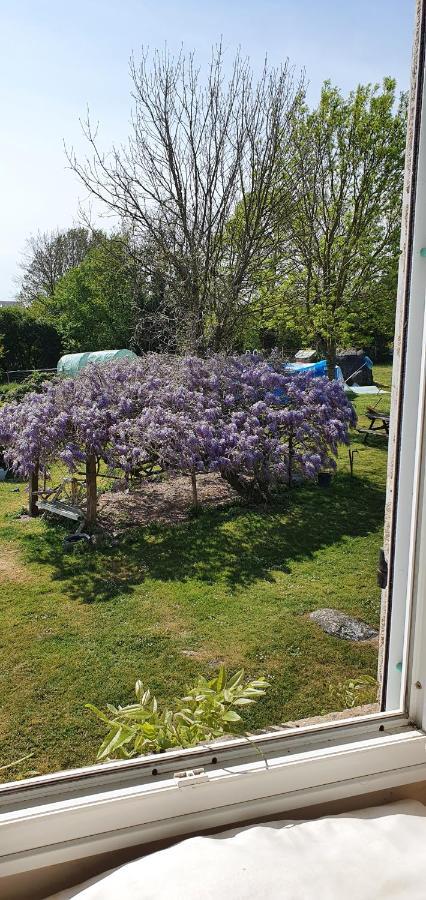 Wisteria House Bed & Breakfast Chanteloup  Eksteriør bilde